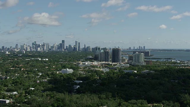 以迈阿密市中心为背景的椰林全景视频素材