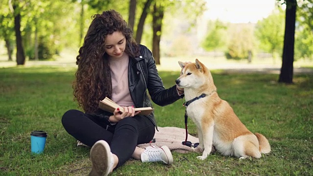 漂亮的年轻女士是在公园看书和拍可爱的狗狗柴犬品种，教养良好的宠物是坐在草地附近的主人。动物和人的概念。视频素材