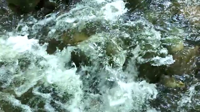 近距离的森林溪流流过岩石视频素材