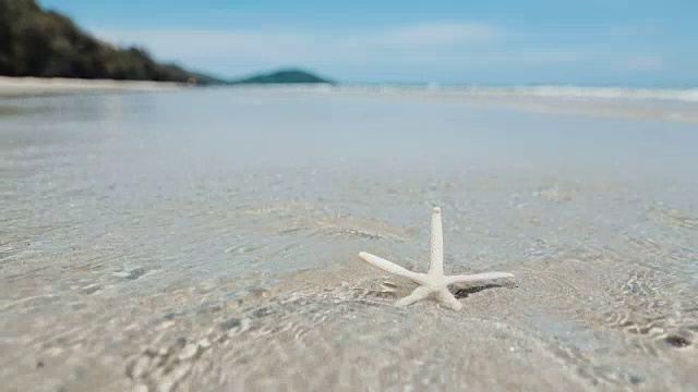 沙滩上的海星和贝壳，清新的热带夏季背景，4K Dci分辨率视频素材