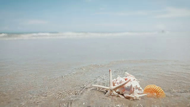 沙滩上的海星和贝壳，清新的热带夏季背景，4K Dci分辨率视频素材