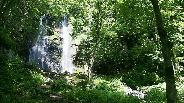 日本Waterfalll风景视频素材