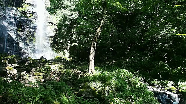 日本Waterfalll风景视频素材