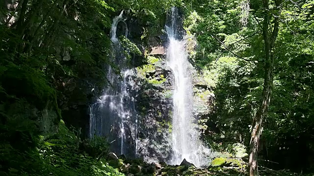 日本Waterfalll风景视频素材