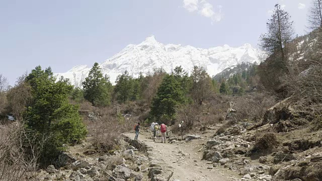 导游带领的游客正在尼泊尔马纳斯鲁地区的喜马拉雅山徒步旅行。视频素材