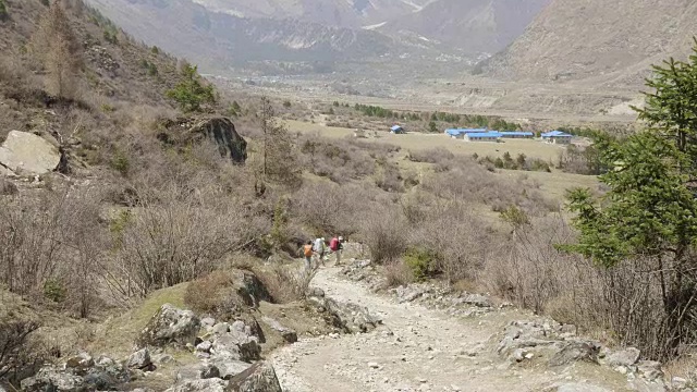 导游带领的游客正在尼泊尔马纳斯鲁地区的喜马拉雅山徒步旅行。视频素材