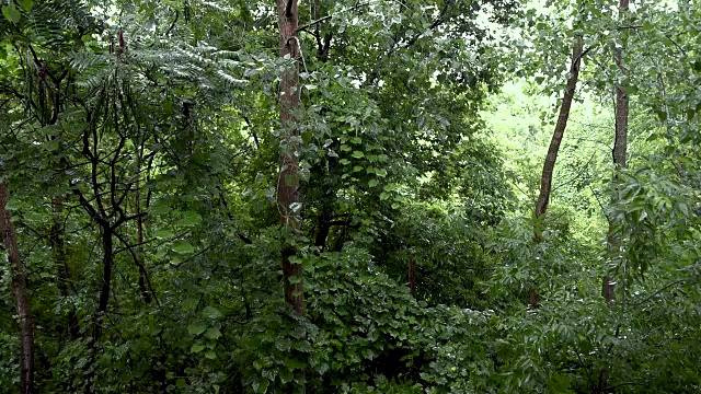 雨天音效视频下载