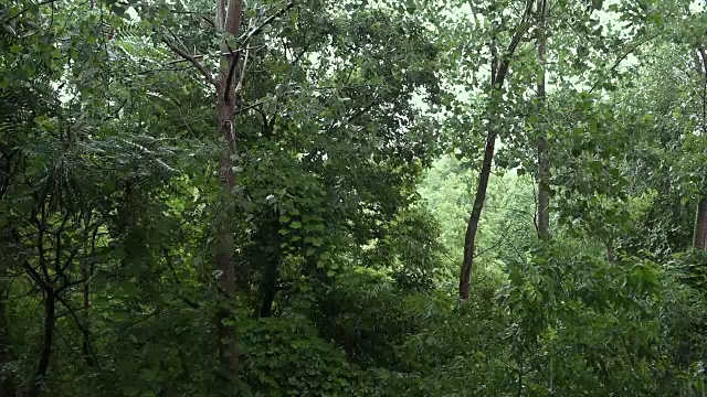 雨天音效视频素材