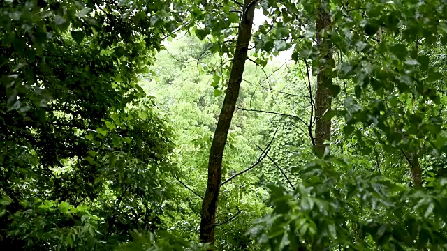 雨天音效视频下载