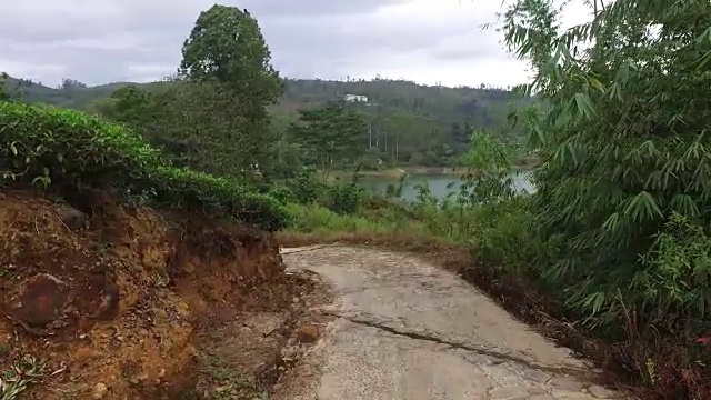 斯里兰卡的公路和茶园视频素材