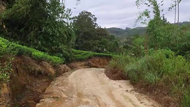 斯里兰卡的公路和茶园视频素材