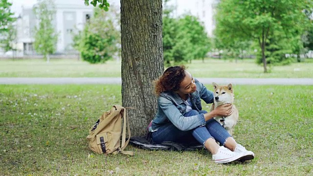 善良的非洲裔美国女孩抚摸着美丽的日本柴犬，坐在公园的草地上，树下的城市景观在背景中可见。视频素材