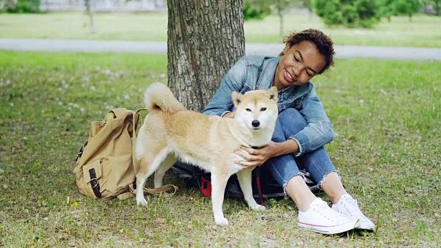 一个漂亮的混血女人正折腾她的宠物狗休息在草地上的公园在温暖的夏天。美丽的绿色草坪，老树和背包可见。视频素材