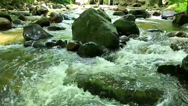 森林小溪流过岩石视频素材