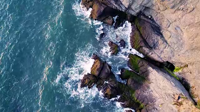 加州旧金山海岸热带天堂视频素材