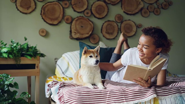 开朗的混血少女正在看书享受文学，然后抚摸她的柴犬躺在床上靠近她。爱好，现代生活方式和动物概念。视频素材