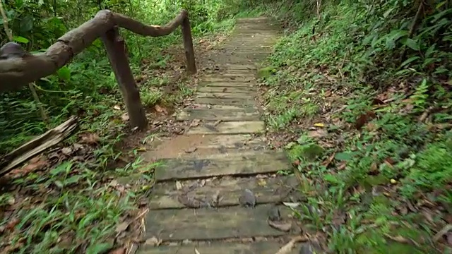 走在泰国北部热带雨林的台阶上。视频素材