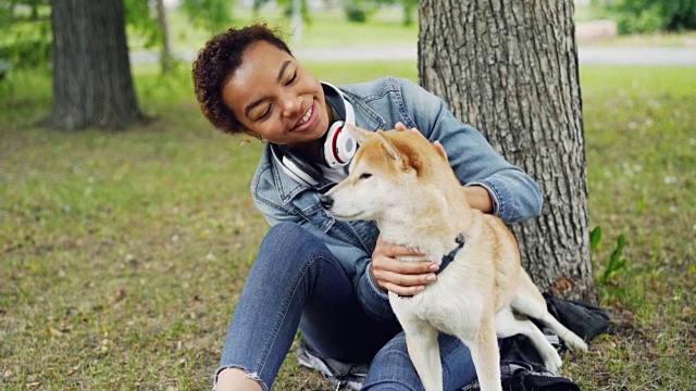 非裔美国女孩抚摸可爱的日本志犬坐在公园树下的草地上，而高兴的狗舔它的鼻子和口吻的慢动作。视频素材