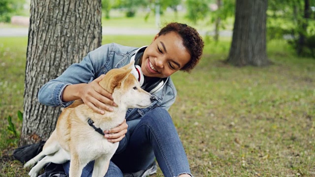 可爱的狗主人迷人的女孩抚摸可爱的日本柴犬小狗挠它的皮毛，看着它在公园里休息在夏天的慢动作。视频素材