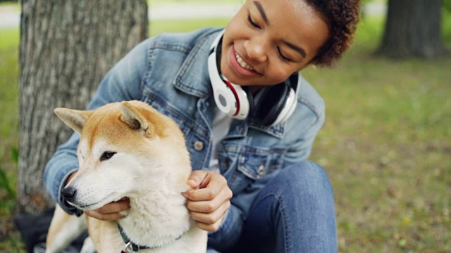 微笑的非裔美国女士抚摸可爱的日本志犬坐在公园的绿色草坪上在夏天的一天。动物享受爱和关怀。视频素材