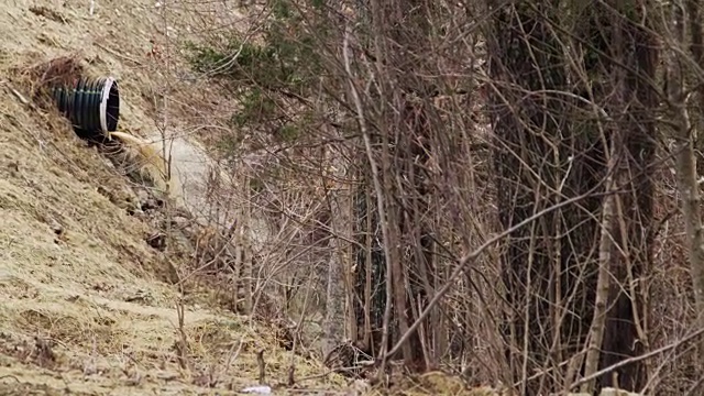 管道把脏水排入荒野视频素材