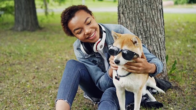 可爱的日本志犬戴着墨镜坐在公园草地上的慢镜头，可爱的主人漂亮的非裔美国女孩看着宠物微笑着。视频素材