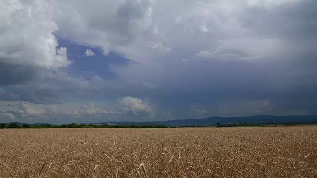 在麦田上空移动的暴风雨云的慢镜头。视频素材