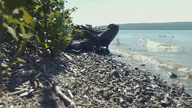 海岸线在日落，实时在太平洋在多风的晚上沙丘。视频素材