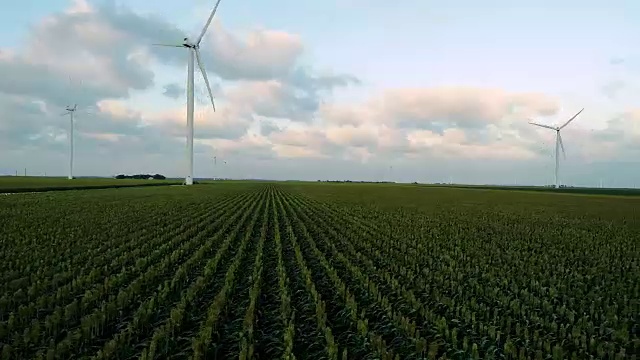 侧Pan Across Rows of Corn Aerial drone view of Wind turbine in Wind Farm视频素材