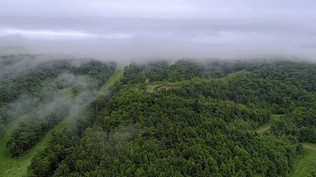 美国宾夕法尼亚州卡本县，阿巴拉契亚，波科诺斯山上空的低云。加速时间圈风格的视频。视频素材