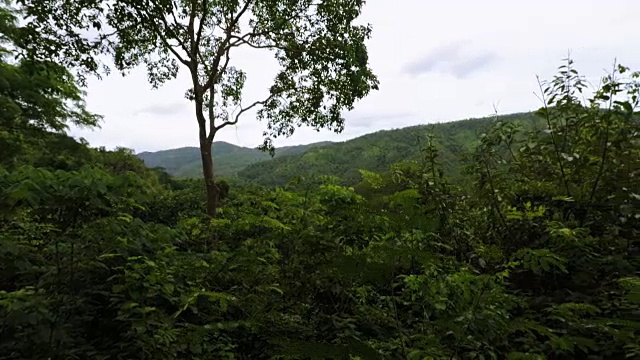 泰国山区的美丽秋景。视频素材