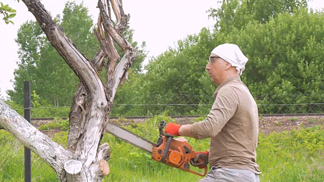 一个人在他家附近砍下一棵链锯树。背景是绿树。删除干树枝。视频素材