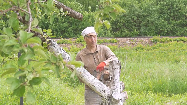 一个人在他家附近砍下一棵链锯树。背景是绿树。删除干树枝。视频素材