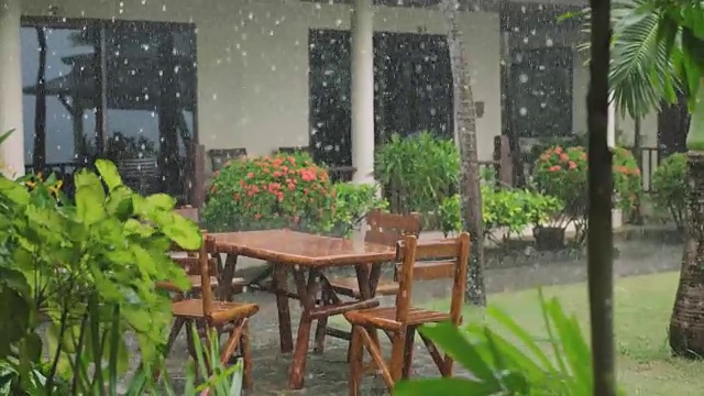 苏梅岛的热带风和雨滴落在绿色的棕榈树叶子上。缓慢的运动。3840 x2160视频素材