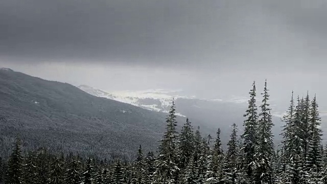 一场冬季的暴风雪视频素材