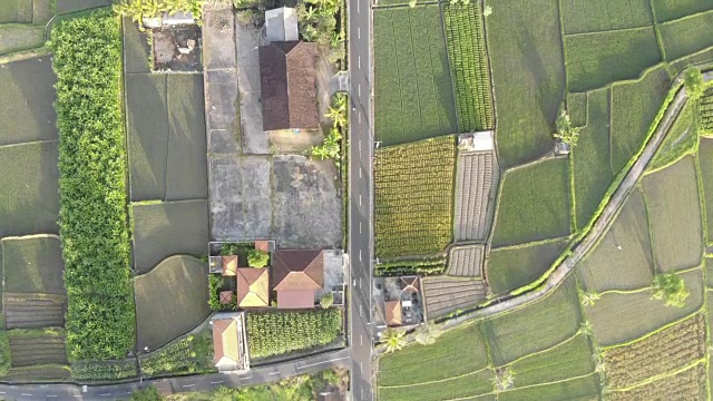 高角度视野的道路通过田野视频素材