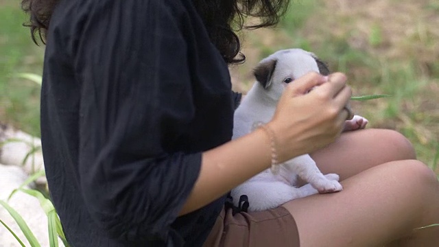 年轻女子拥抱顽皮可爱的狗在自然界视频素材