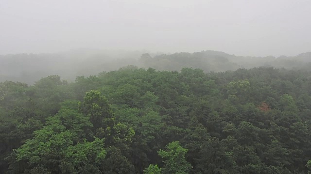 雨季视频素材