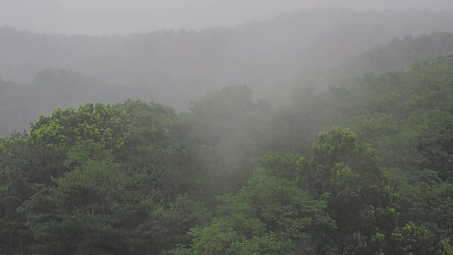 雨季视频素材