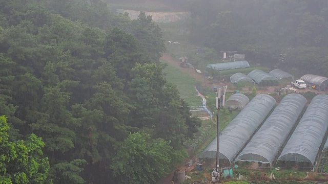 雨季视频素材