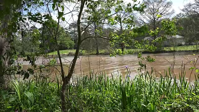 路易斯安那湾的景色视频素材