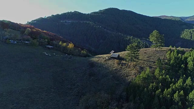 飞过高山和森林视频素材