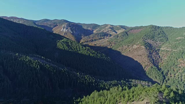 飞过高山和森林视频素材