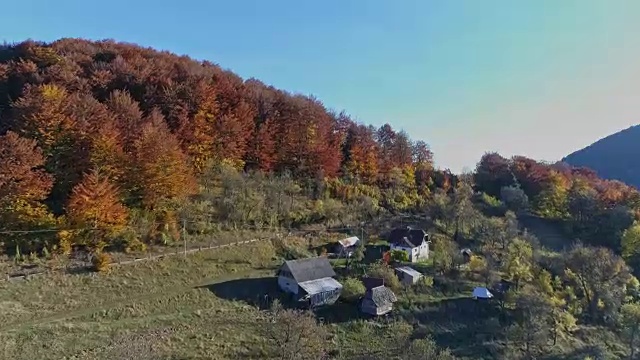 飞过高山和森林视频素材