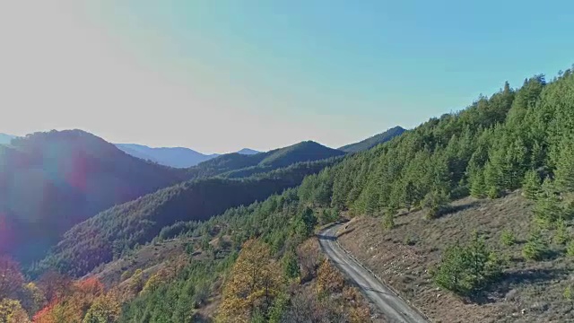 飞过高山和森林视频素材