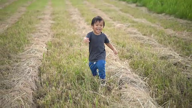 SLO MO小男孩在田野里奔跑。视频素材