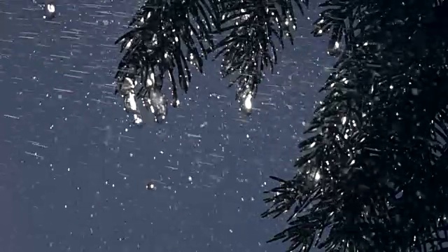 大雨落在冷杉针叶上，大水滴从晶莹的冰柱上缓缓流下，映衬着湛蓝的天空。视频素材