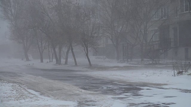 暴风雪来了。视频素材