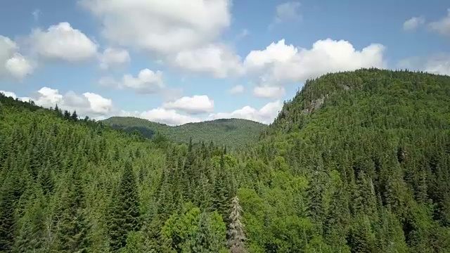 夏季北方自然森林和山地鸟瞰图视频素材