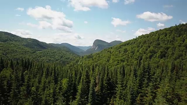 夏季北方自然森林和山地鸟瞰图视频素材